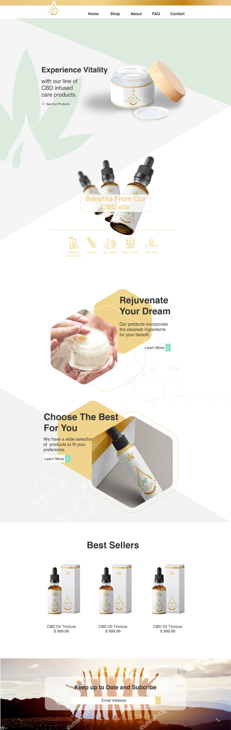 DreamHi5_Website_Draft_02-04